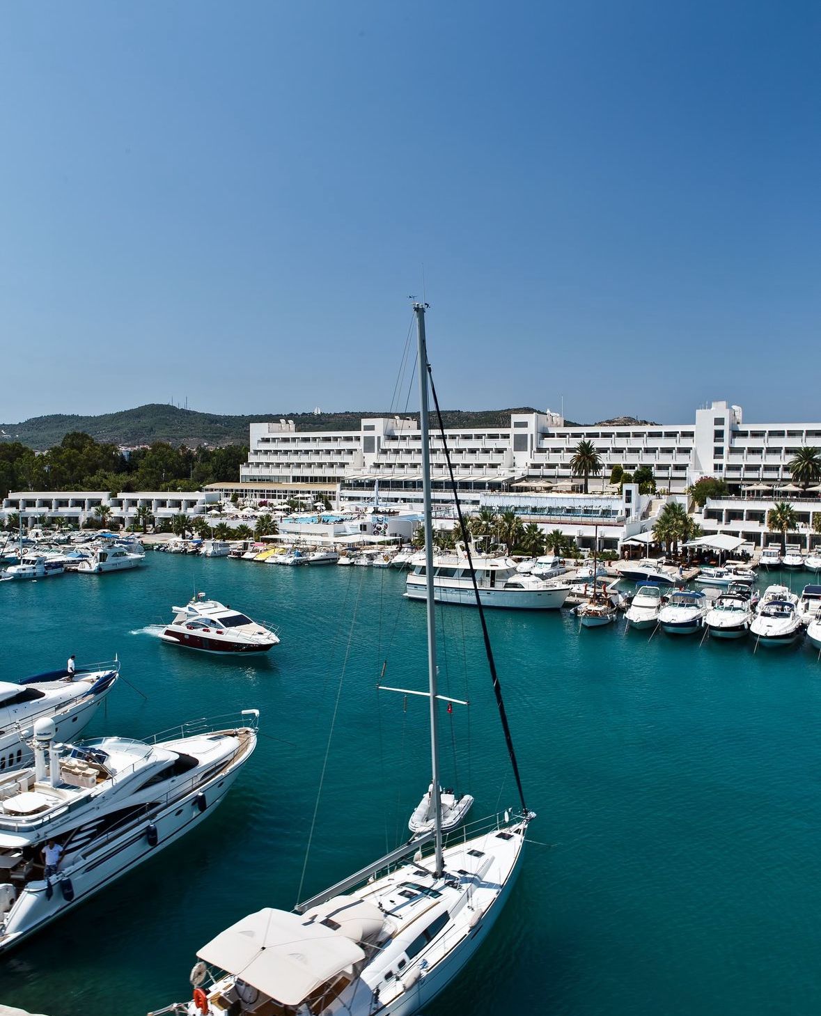 6fd06eff56c6b70c7c025011c481bb21